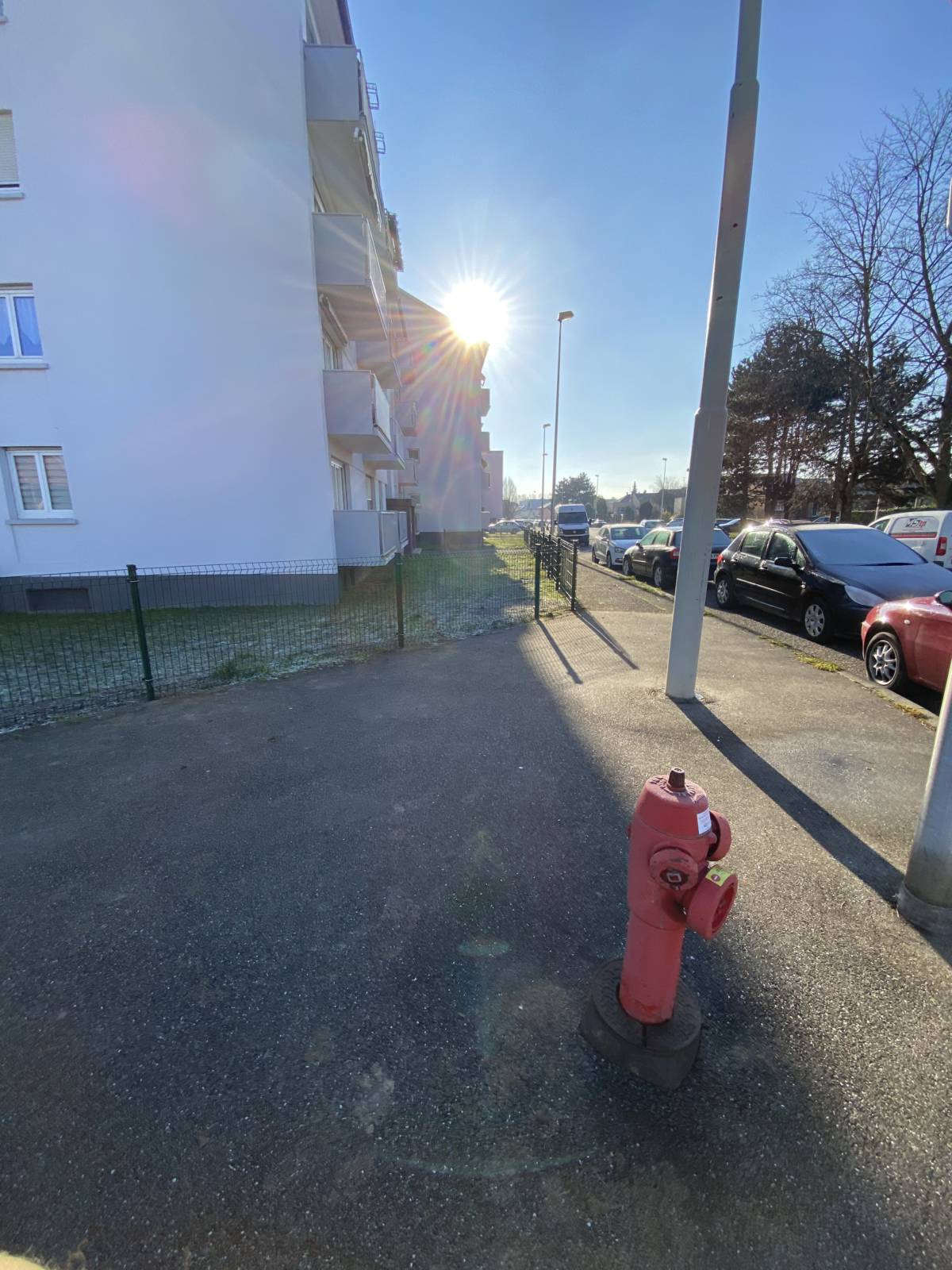 Obernai : cloture, pose de grillage rigide Lingolsheim 1